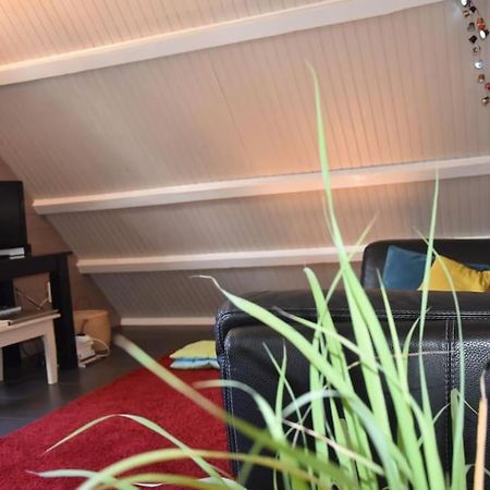 Le Strelitzia 1 Apartman Cilaos Kültér fotó