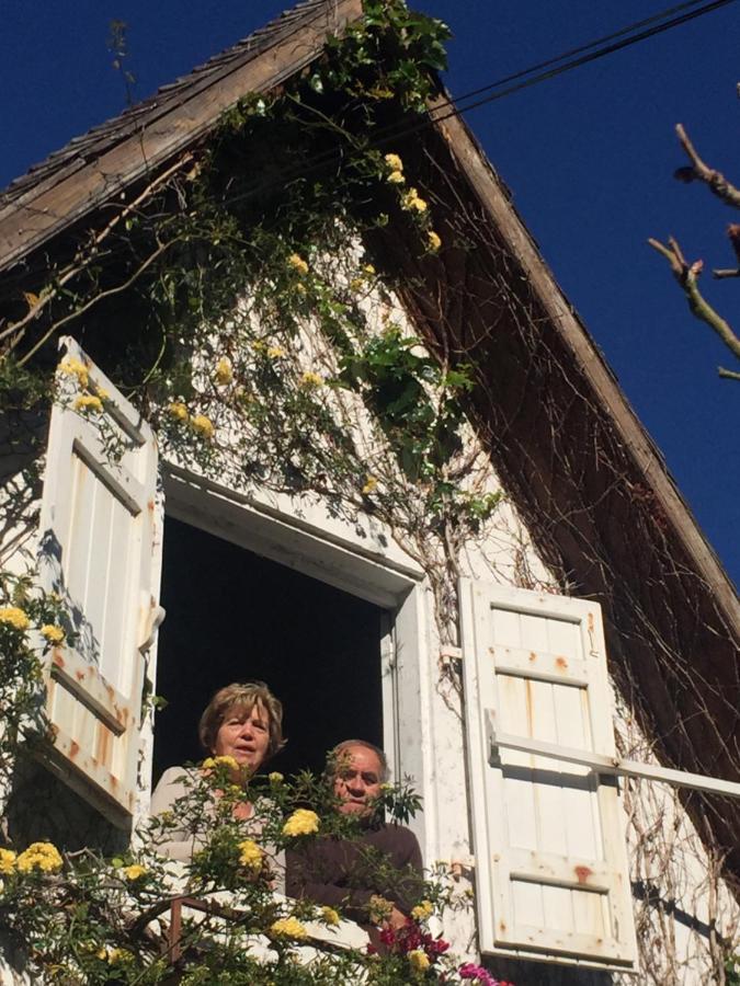 Le Strelitzia 1 Apartman Cilaos Kültér fotó