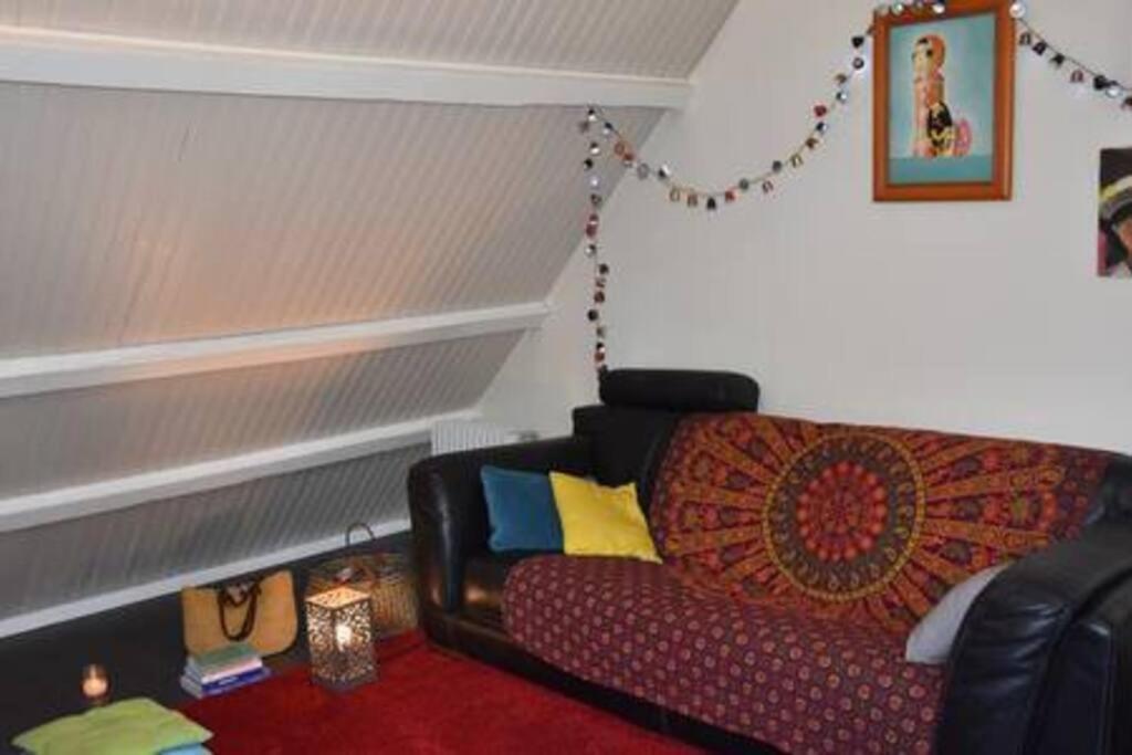 Le Strelitzia 1 Apartman Cilaos Kültér fotó