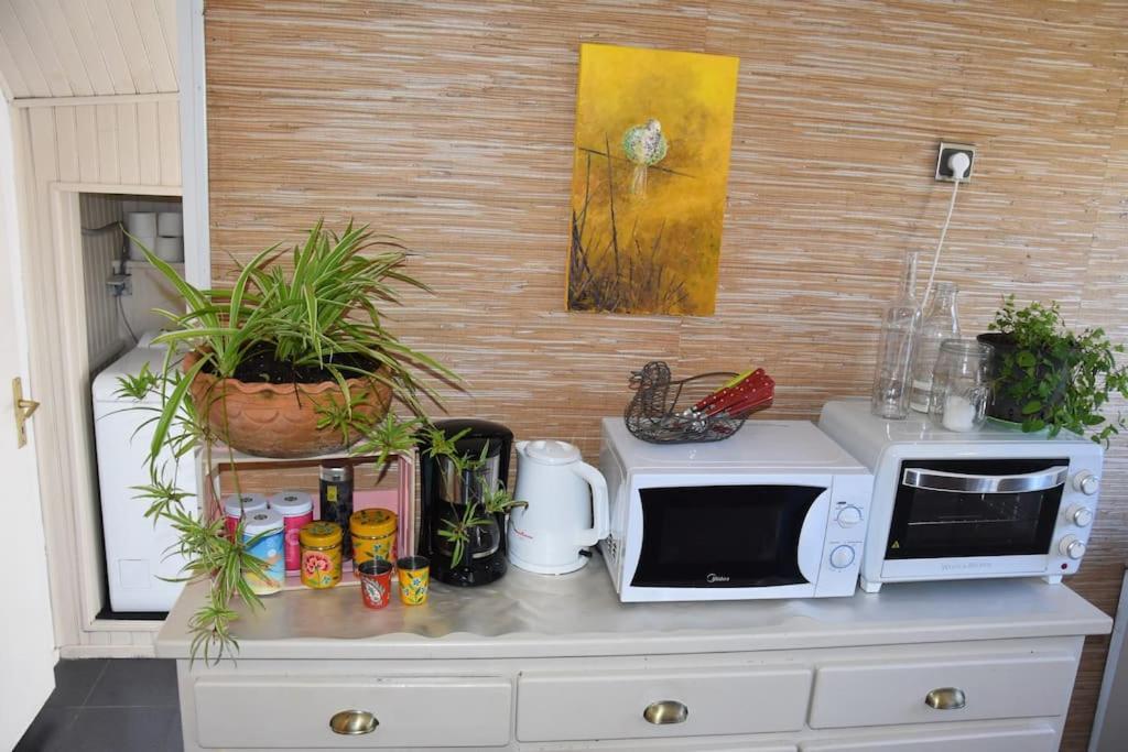 Le Strelitzia 1 Apartman Cilaos Kültér fotó
