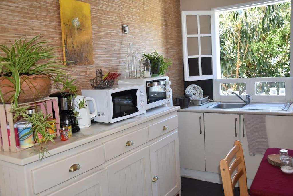 Le Strelitzia 1 Apartman Cilaos Kültér fotó